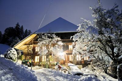 Rossmoos nachts imWinter