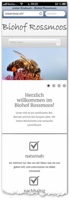 Screenshot vom Smartphone